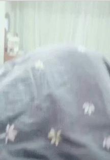 养猫不能放蟑螂药怎么办,养猫不能用的驱蚊方法