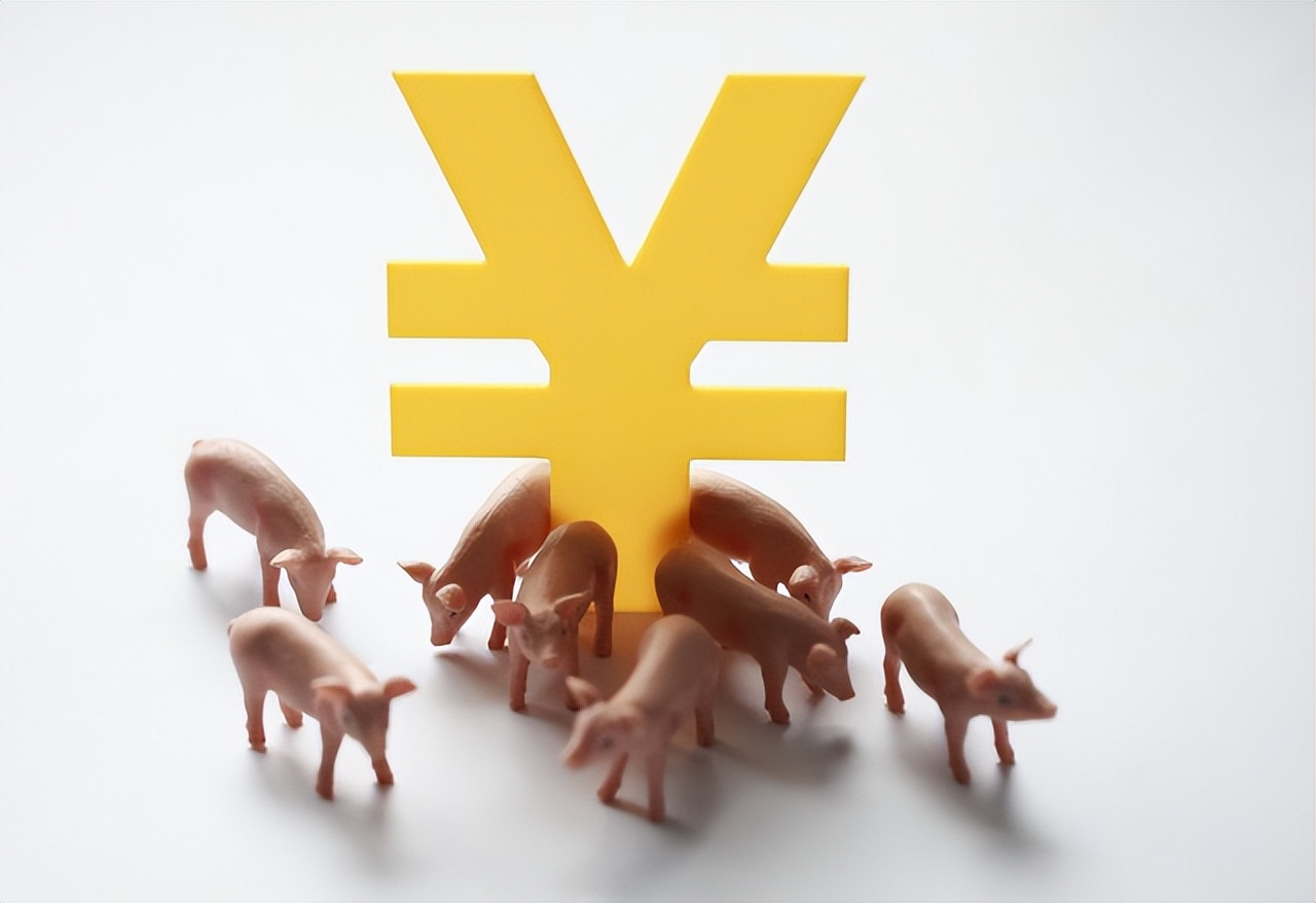 全国生猪现状如何,现在的生猪价格养殖户怎么生存