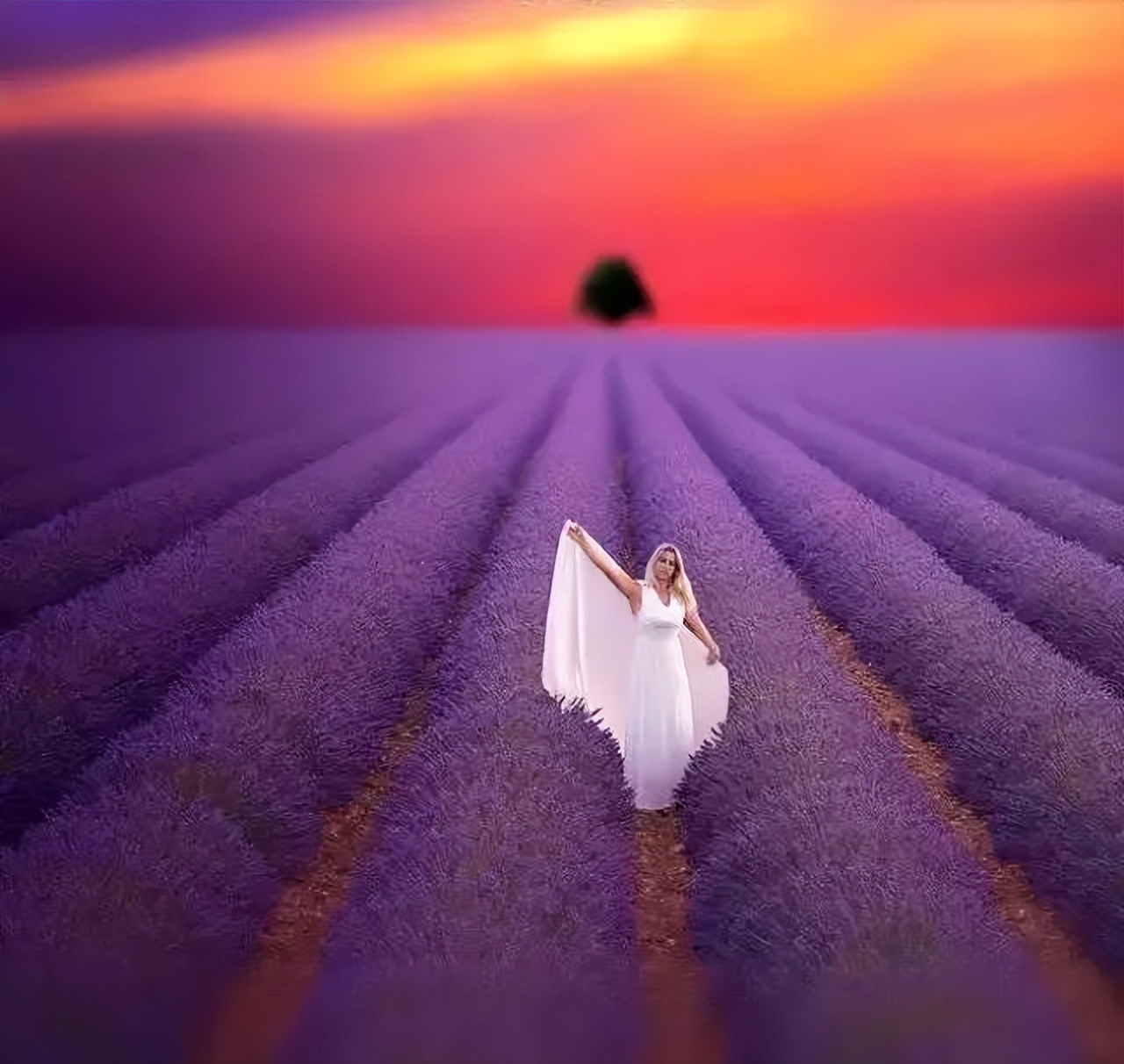 欣赏｜这七种色彩，装点了红尘人间！