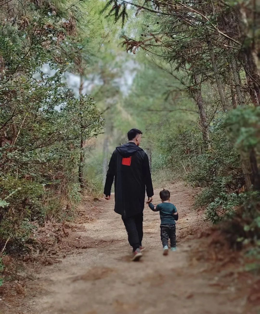 一字一句是情感,一字一句皆是爱意