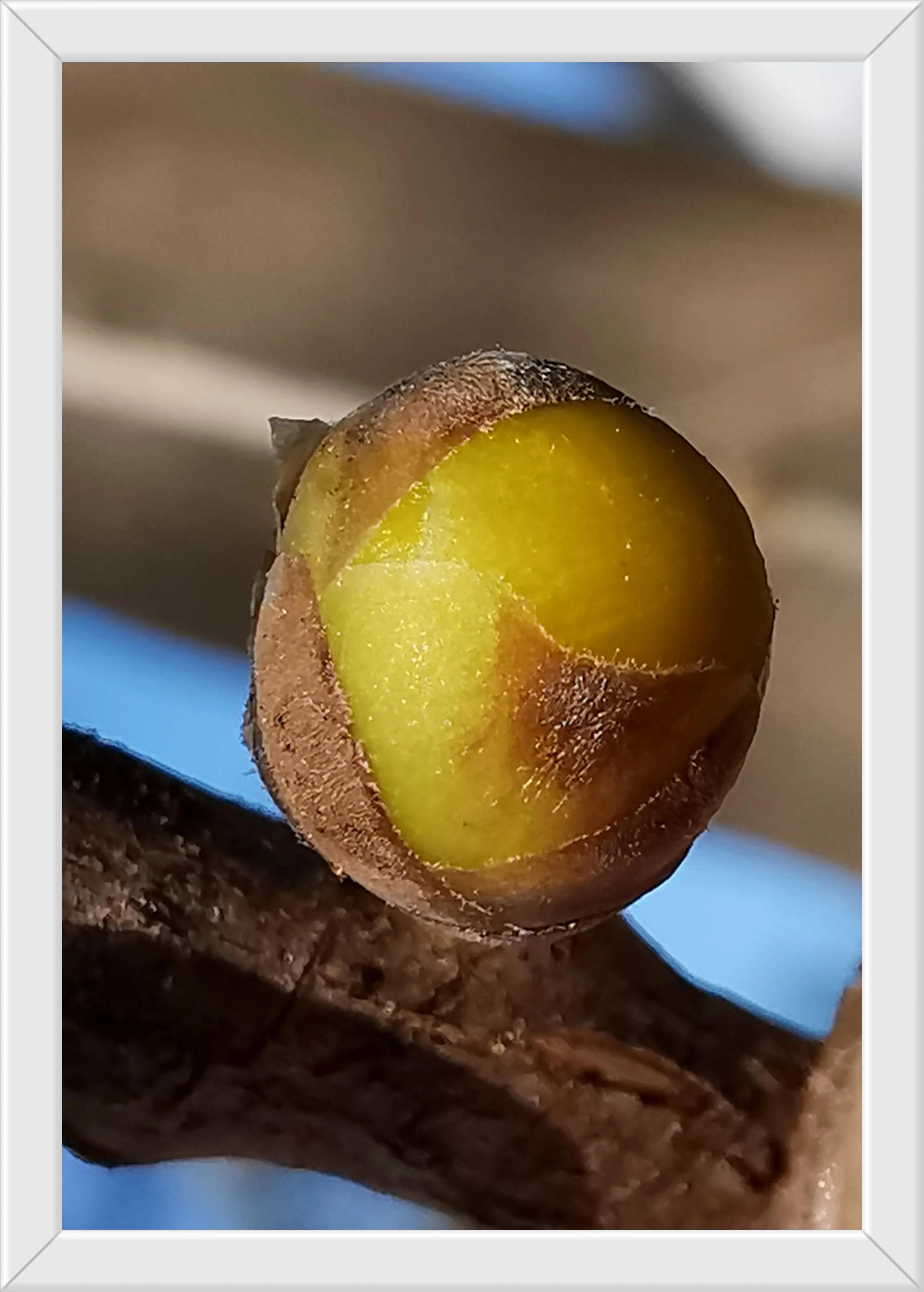 游玩趣乐,游玩陶然亭公园感受