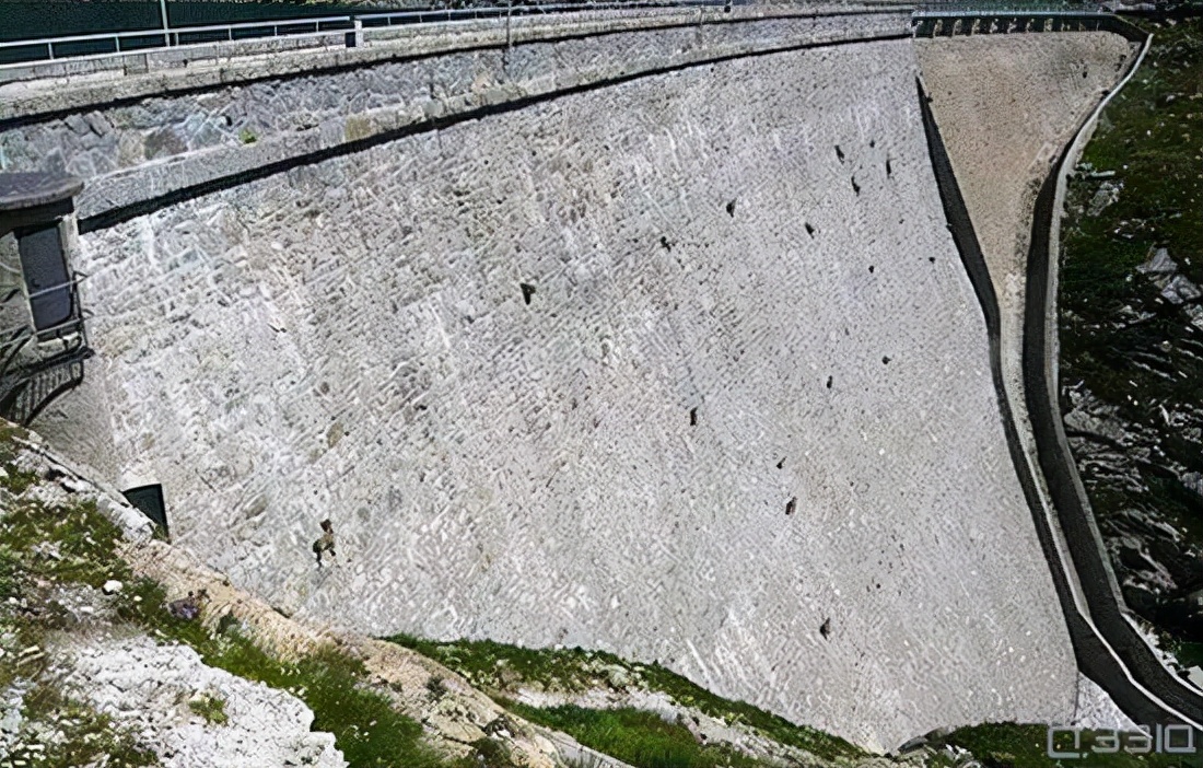 奇葩动物冷知识你都知道哪几个,10个你绝对想不到的动物冷知识