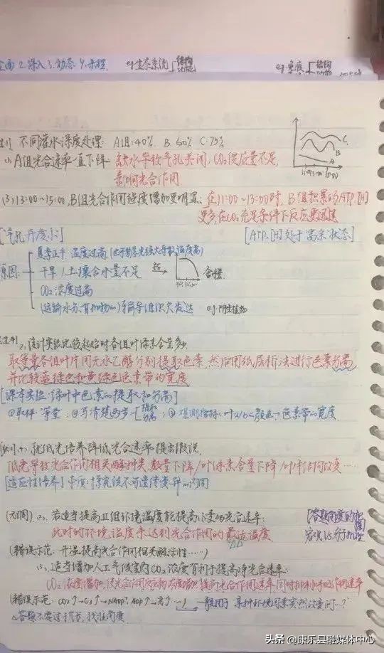 高考数学149分卷面字迹惊艳,语文146分学霸卷面惊艳