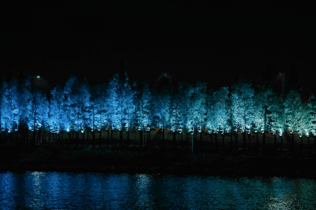 佛山广州两天两夜游玩攻略,佛山去南海湾森林公园