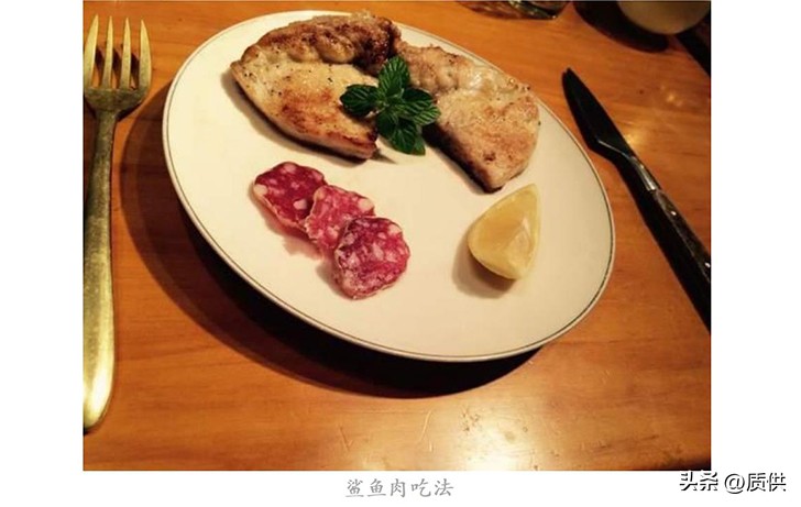 人类为什么只吃鲨鱼,为什么人类只吃鱼翅