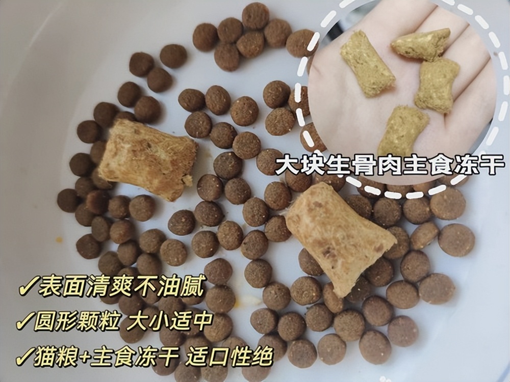 猫瘦怎么治,猫皮包骨