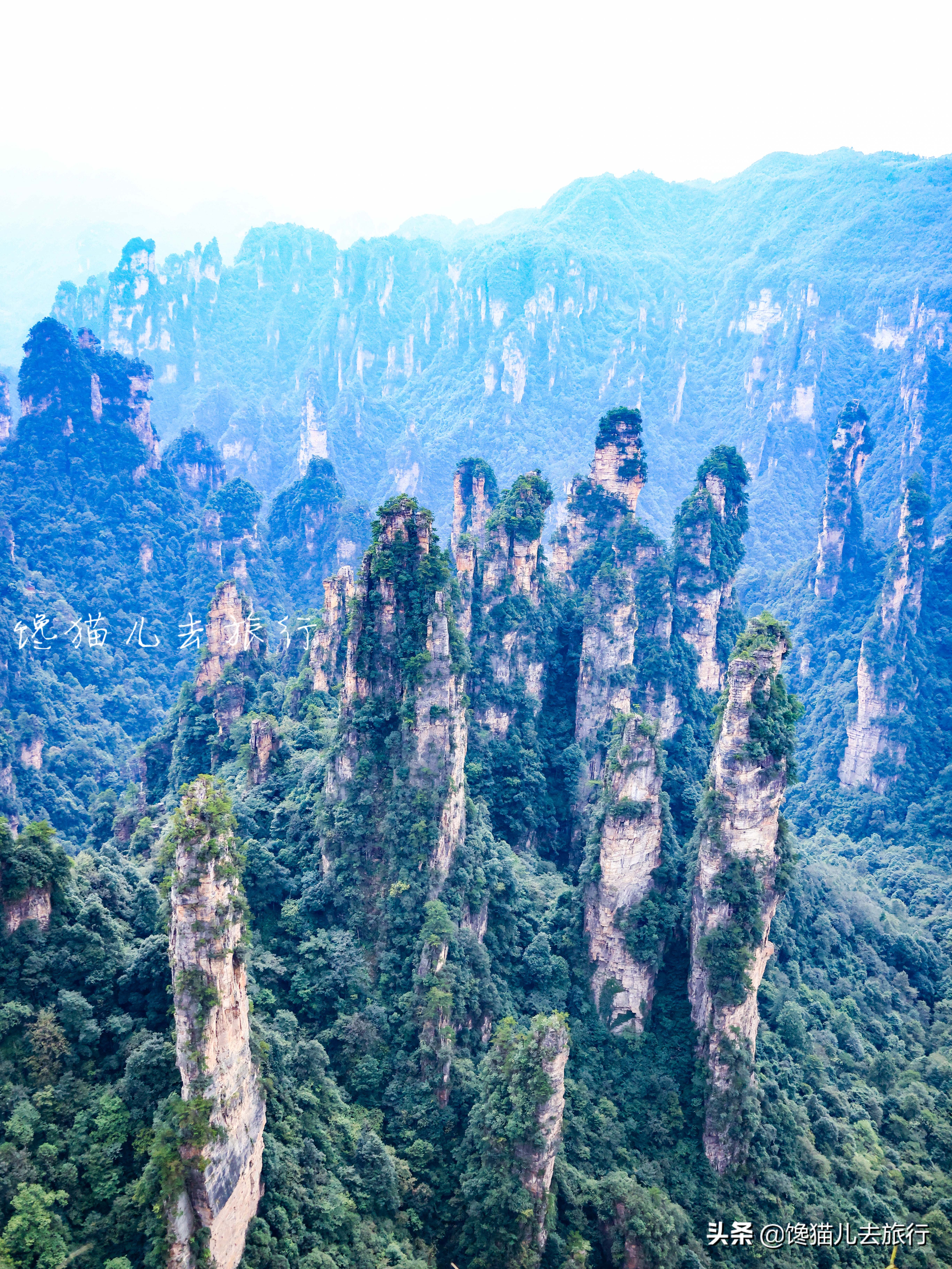 去张家界有什么忌讳,去张家界要注意什么安全