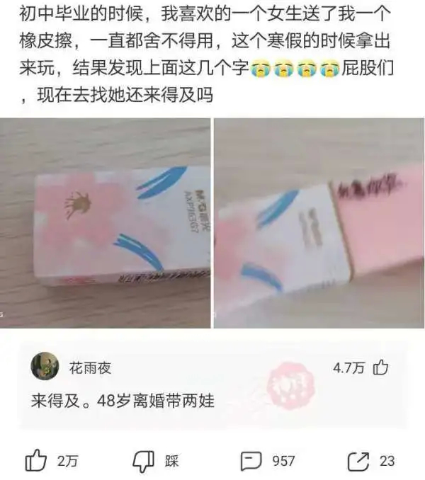 为什么鳄龟长大了背甲会变,鳄龟为什么养的背甲很大