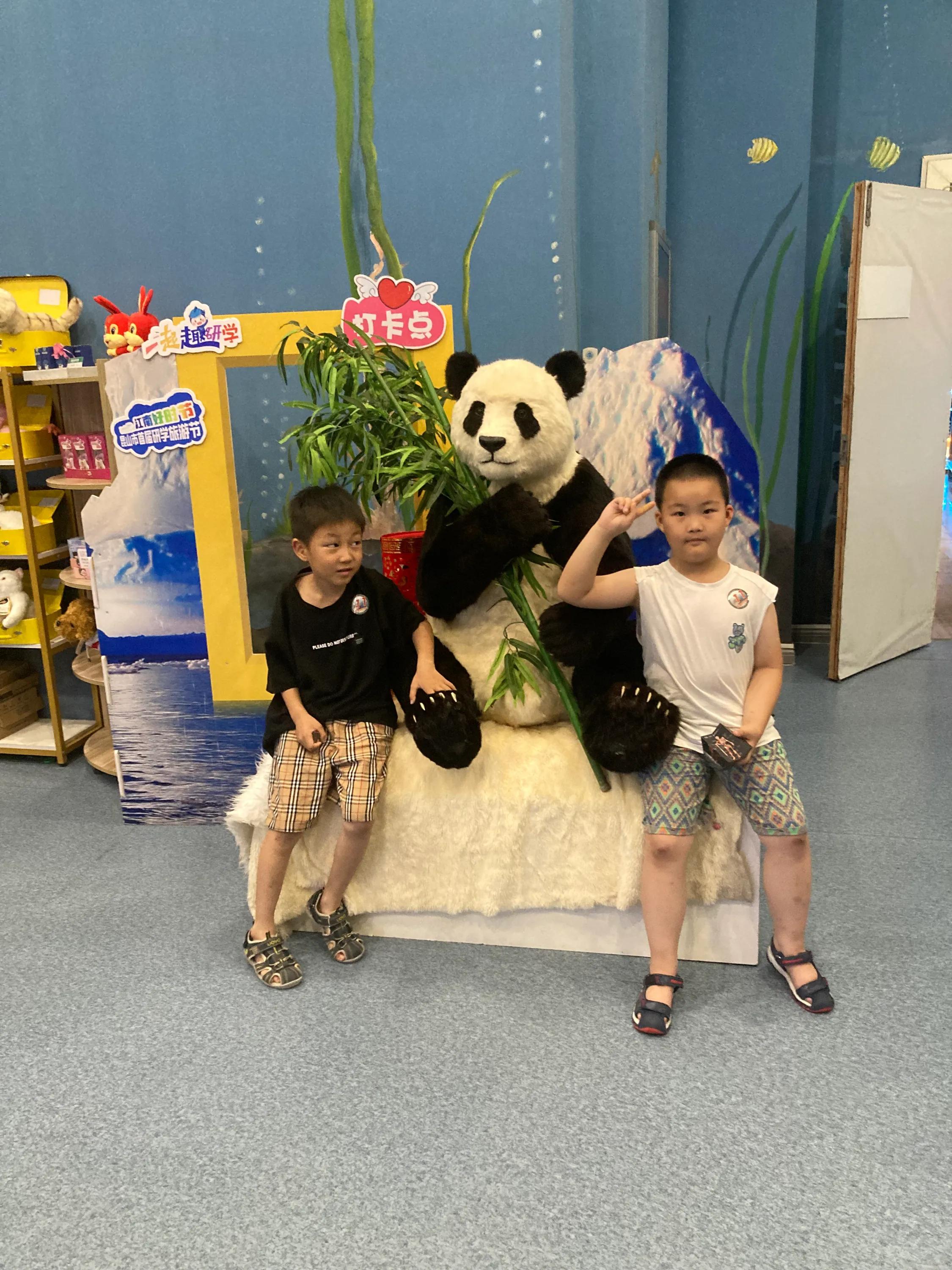 周庄一日游必去十大景点,周庄一日游最佳方案