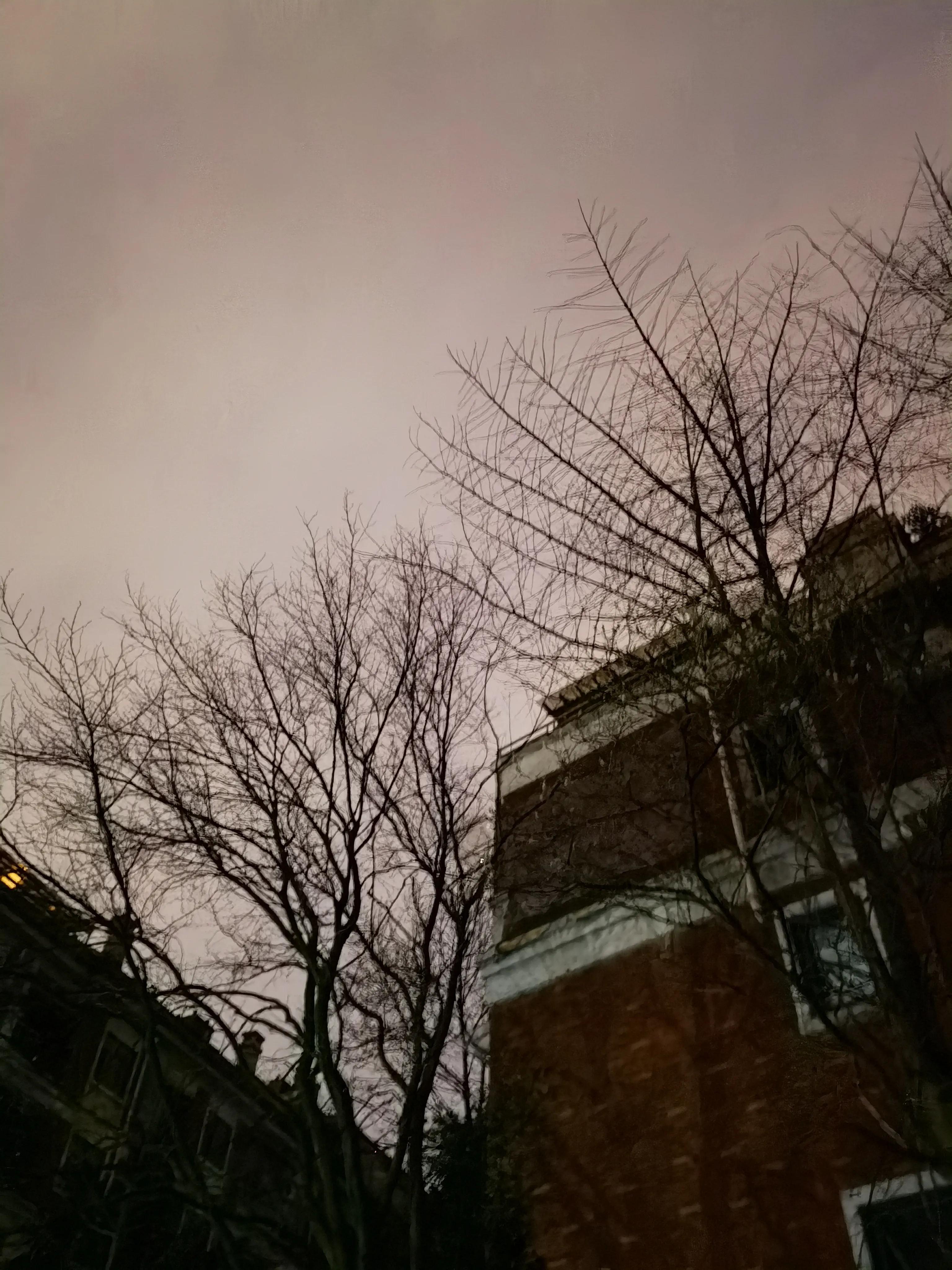 雨水的雪水,收集的雨水