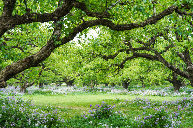 宿州两日游,宿州旅游攻略三日游