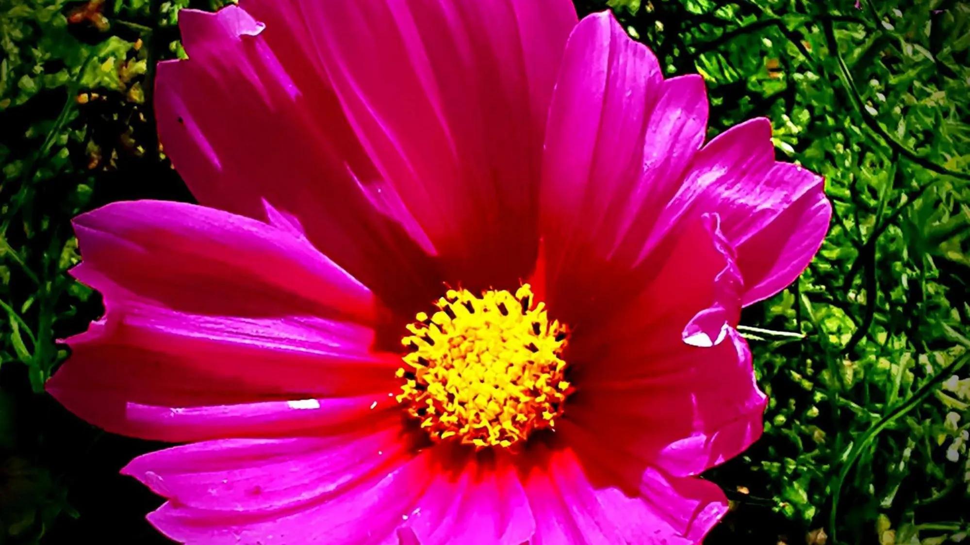 面对困难迎难而上的励志句子,人生当中最艰难的时候