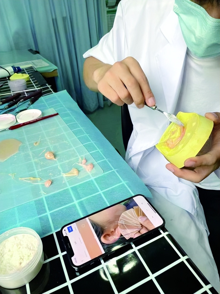 什么是赝复师,赝复师是干什么的