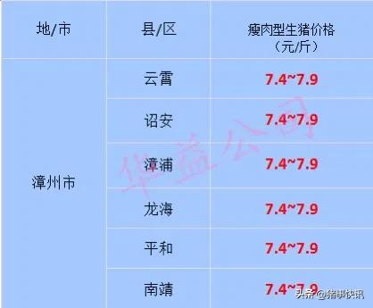 猪价快讯福建,猪价走势最新消息福建