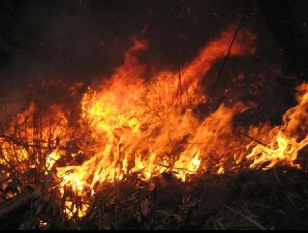 董艳珍挑战不可能李昌钰视频,董艳珍李昌钰节目