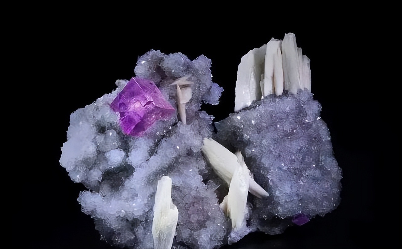 宇宙中的碳基生命形态,存在宇宙中的六种生命形态