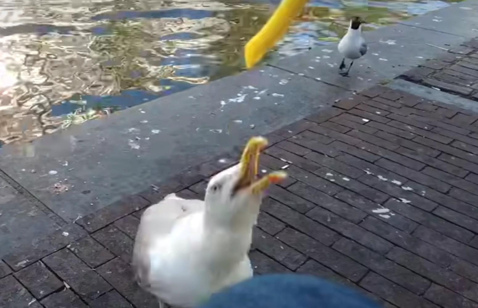 无尽贪婪模式,贪婪大地有无尽模式吗