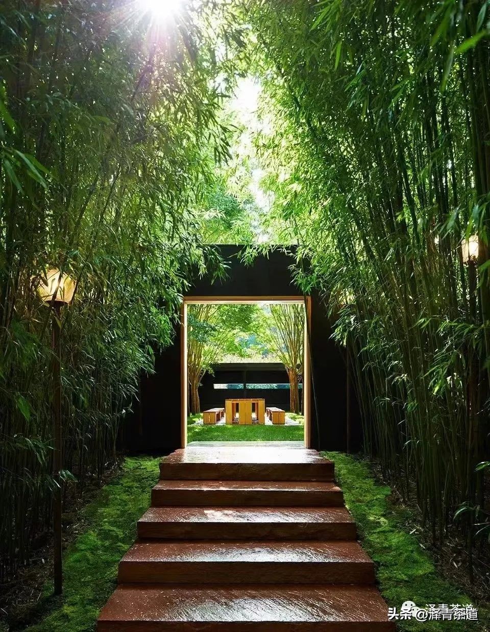 心情不好喝什么茶可以缓解,心情不好适合喝什么茶