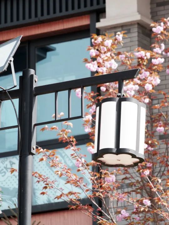 茵香河畔图片,茵香河