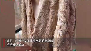 貂皮大衣水洗,水貂被抽筋扒皮