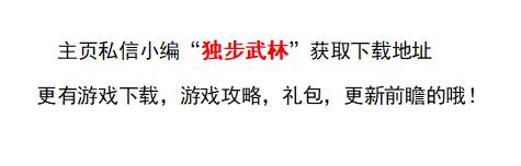 独步武林游戏职业介绍,独步武林是什么