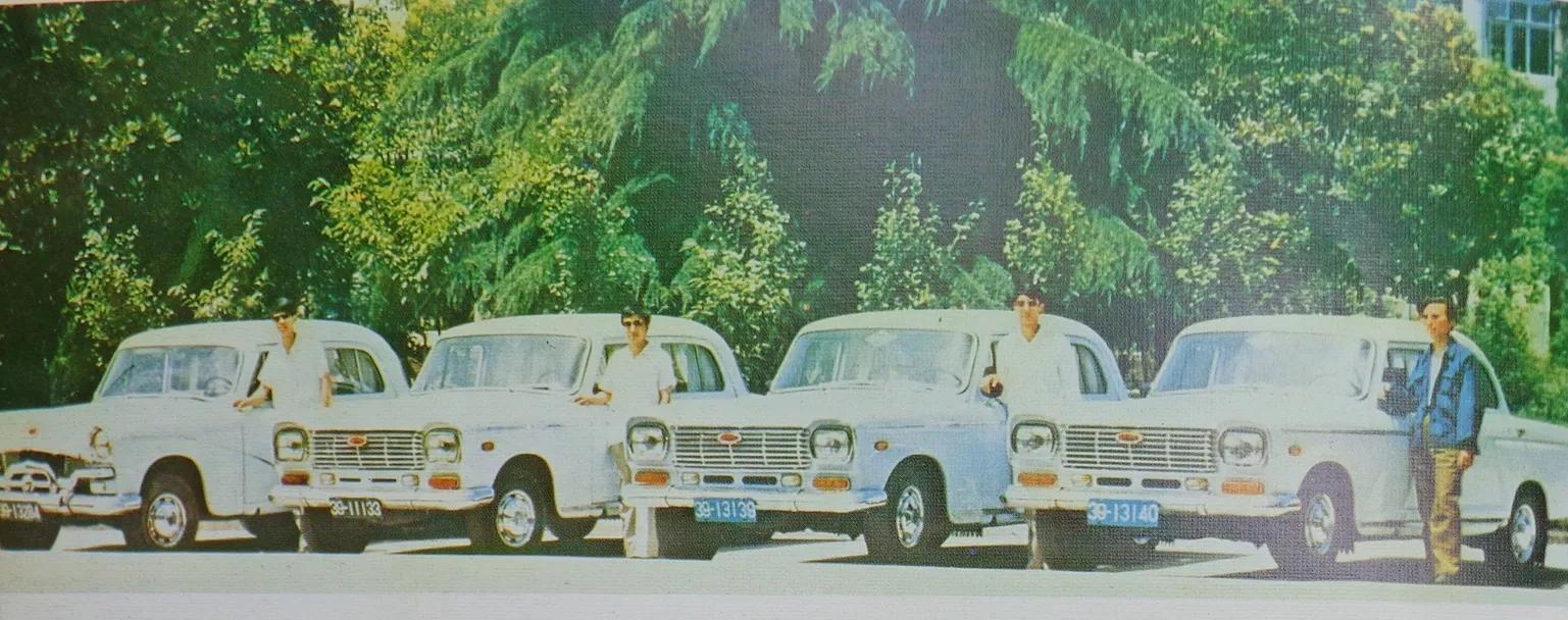 记忆里的南京七三四厂绿化景观