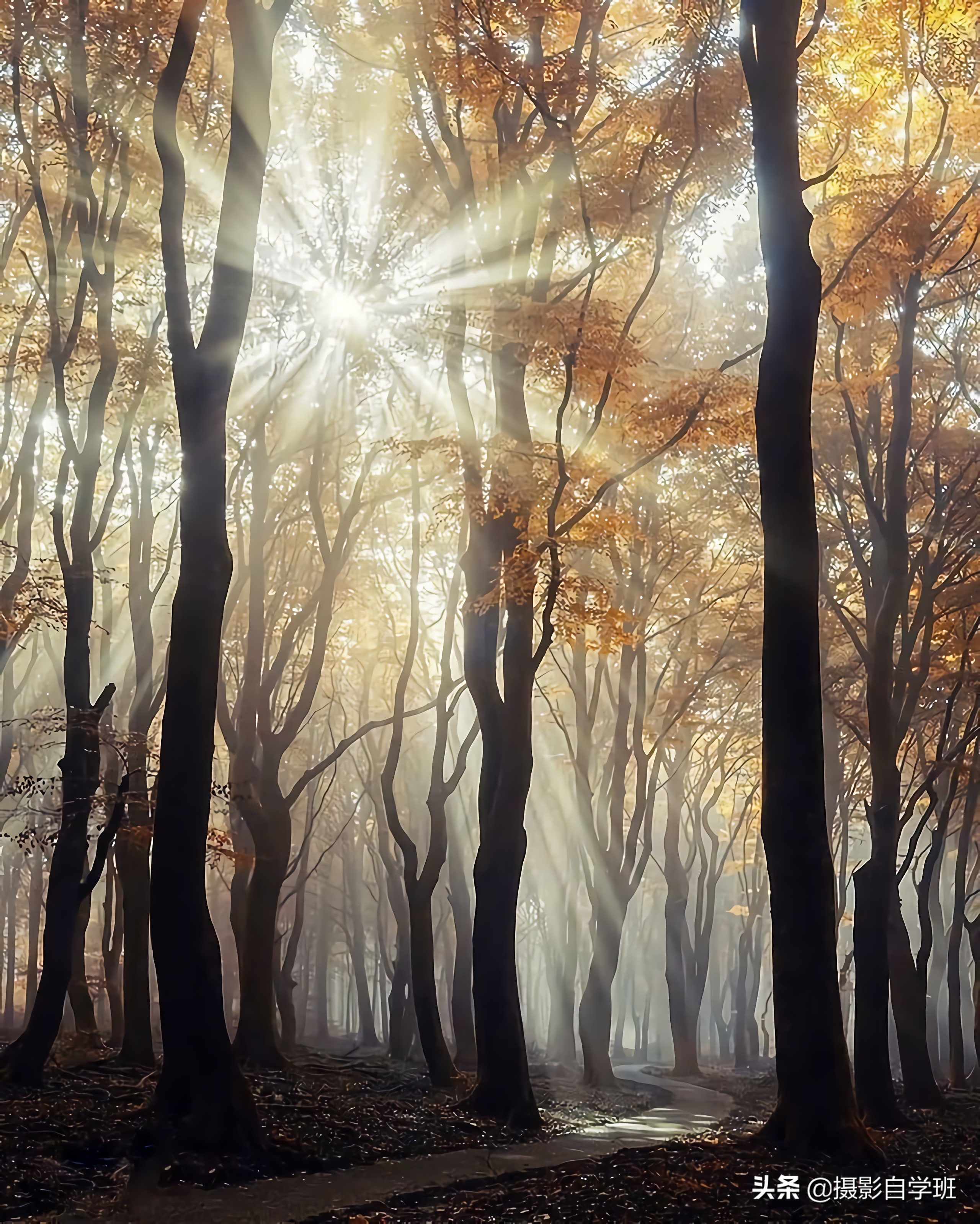 8个风景摄影小技巧,风光摄影8大技巧书