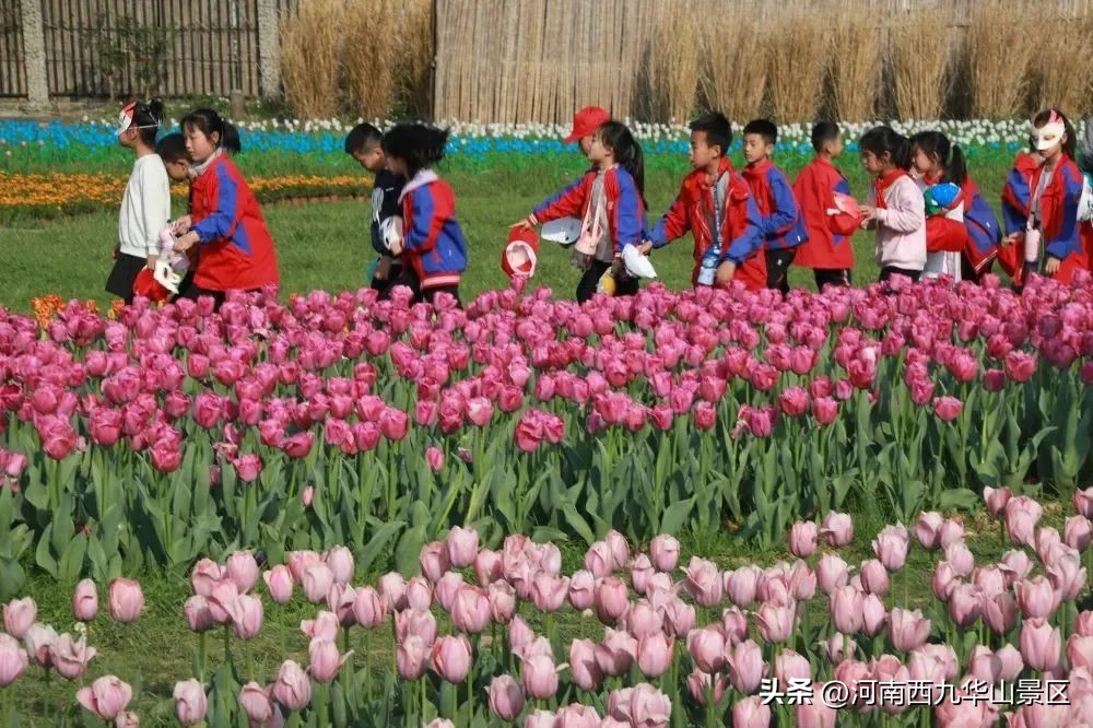 自驾游毕业旅行,毕业研学旅行小学