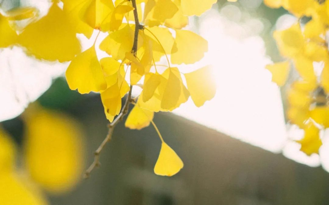 自媒体快速赚钱的15种方法,自媒体博主如何赚钱