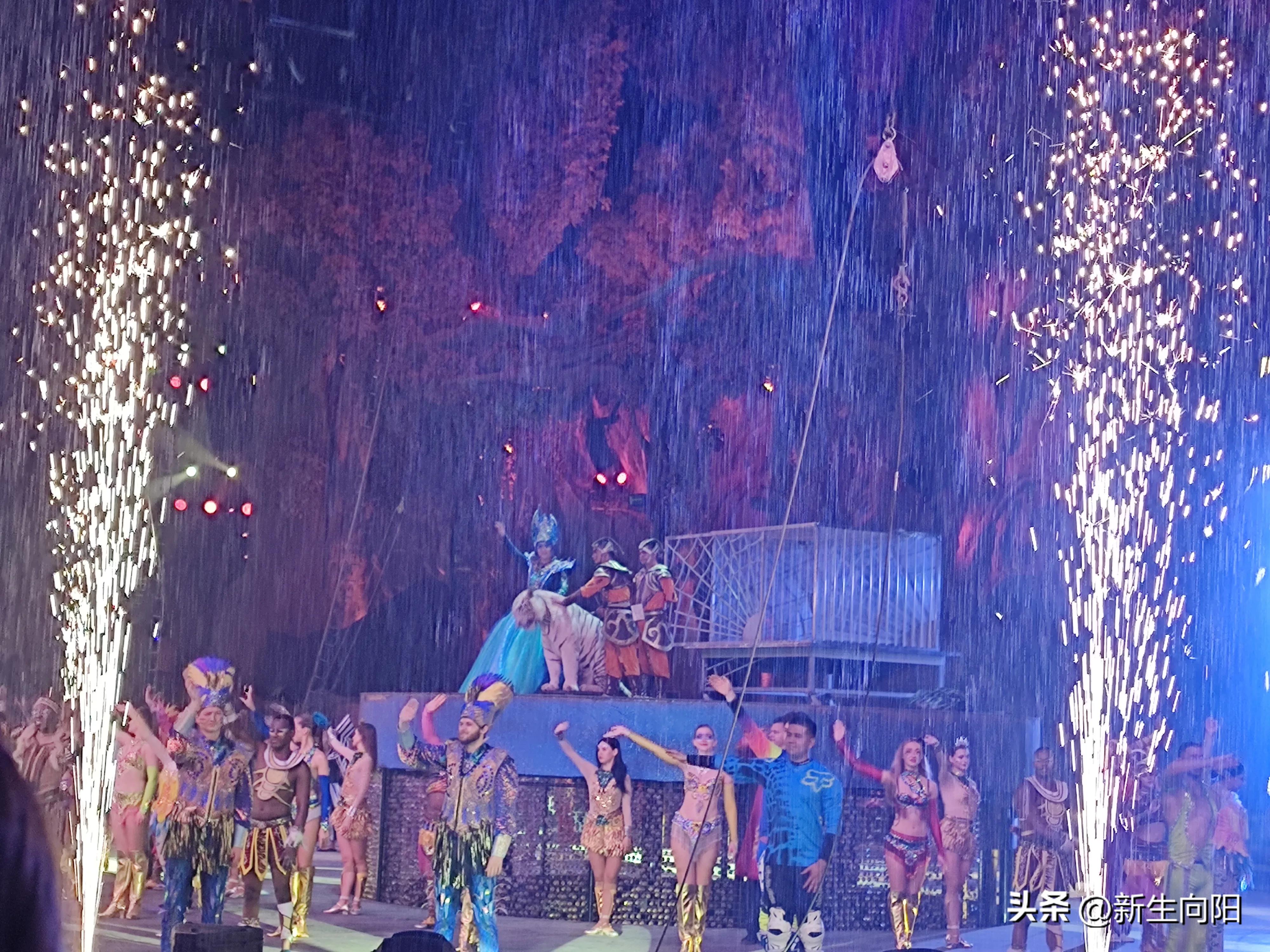 长隆野生动物园两大一小,长隆野生动物园一家三口