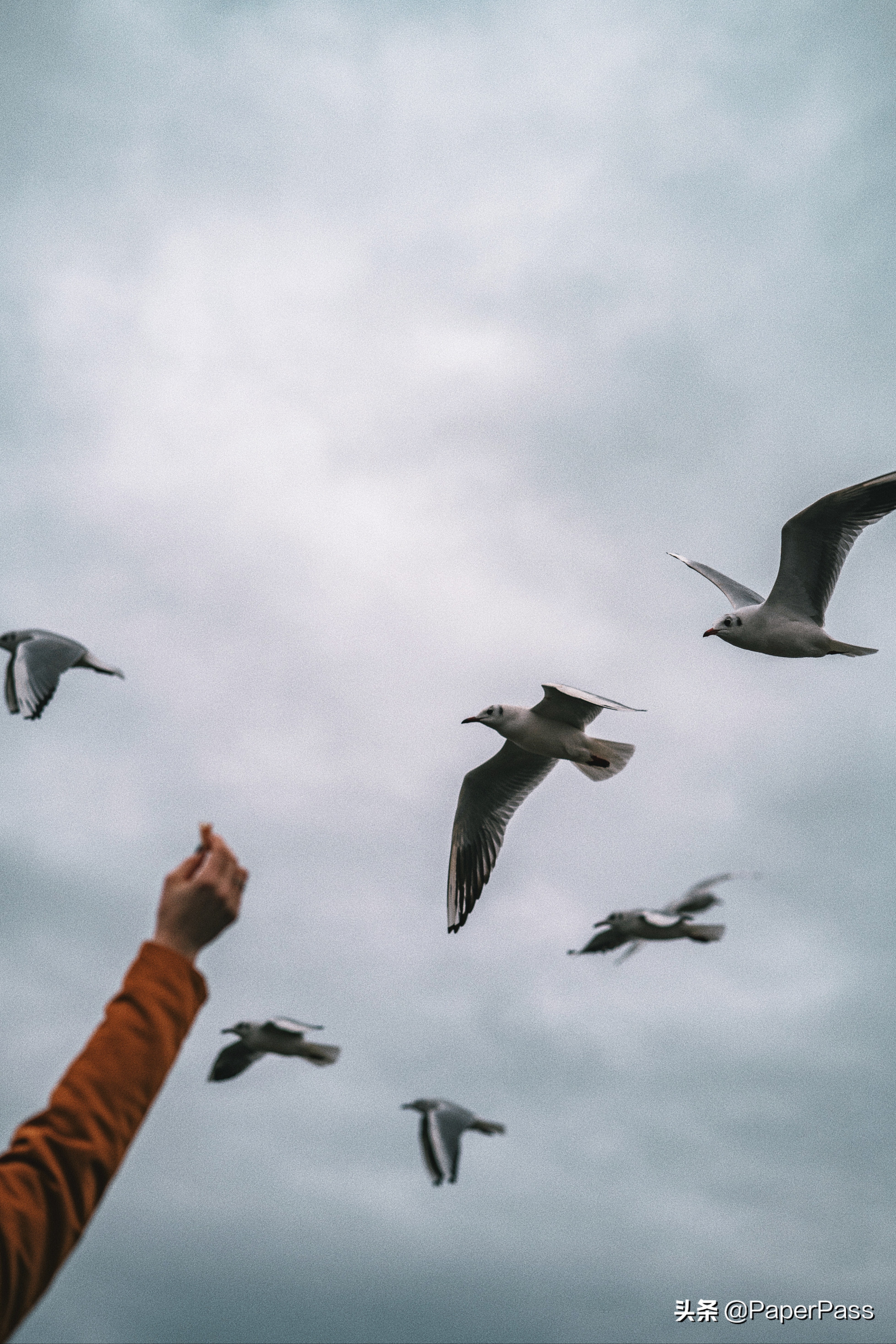 如何写论文开题报告文献综述,论文开题报告文献综述应该怎么写