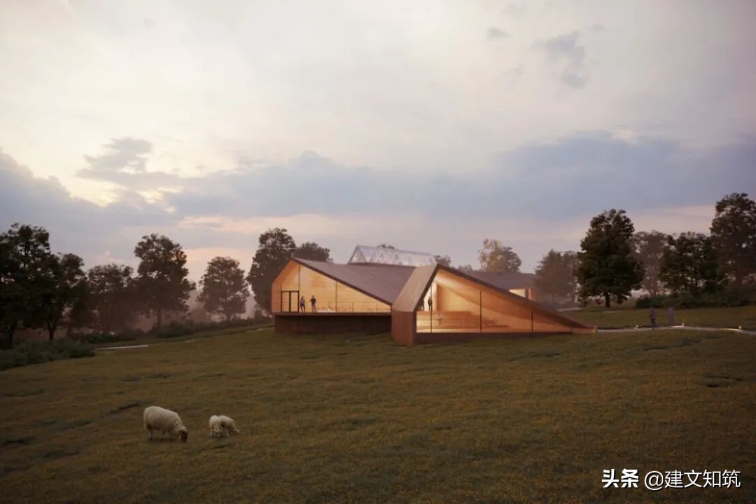 waf2023世锦赛,waf国内排名