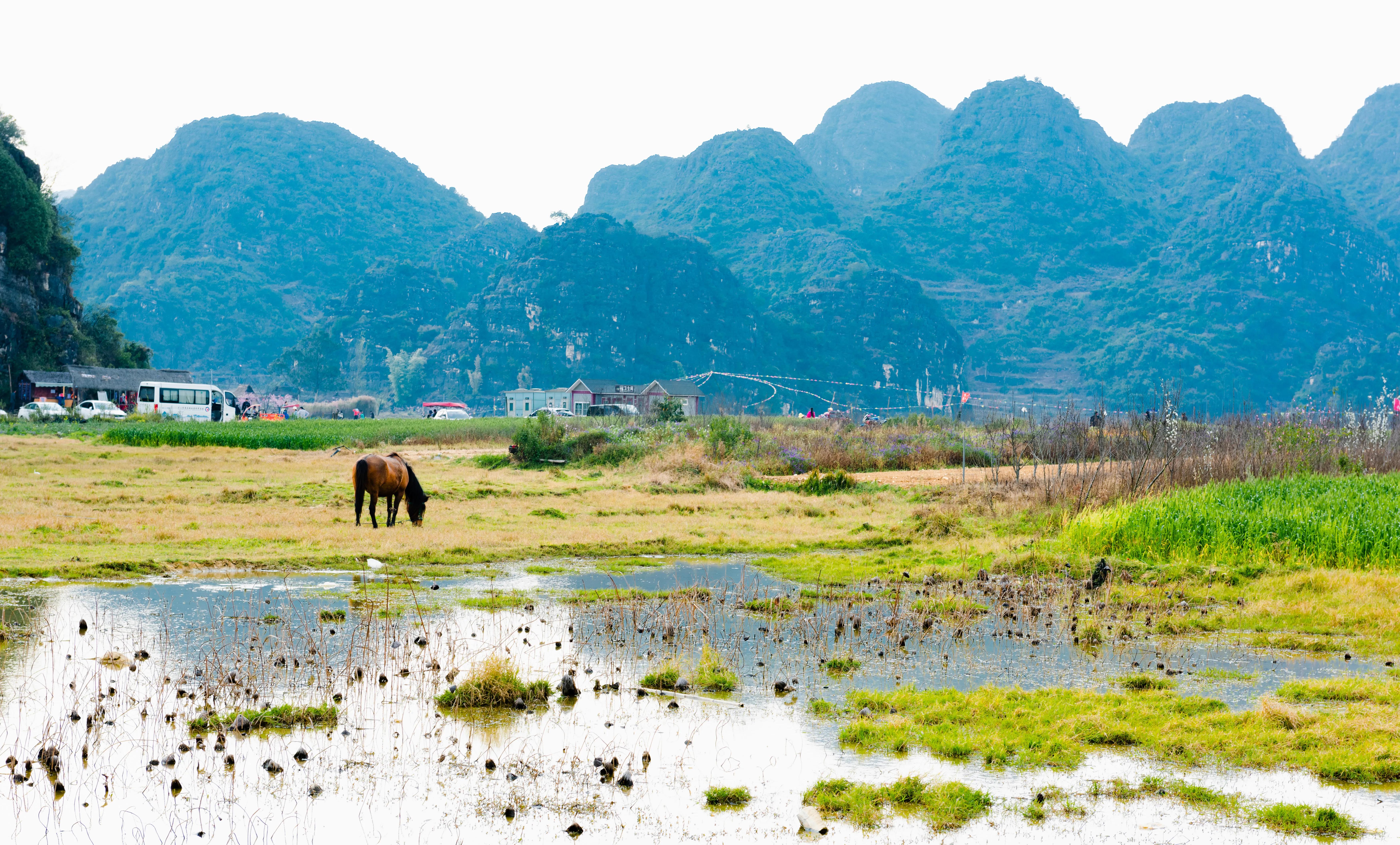 西双版纳10日行——走遍春夏秋冬，总会有人四季等你。