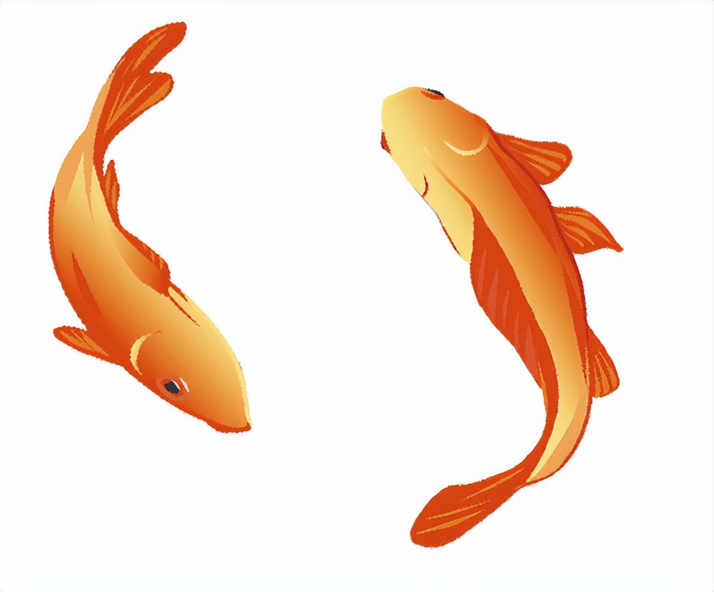 紫微城全部视频,紫微城