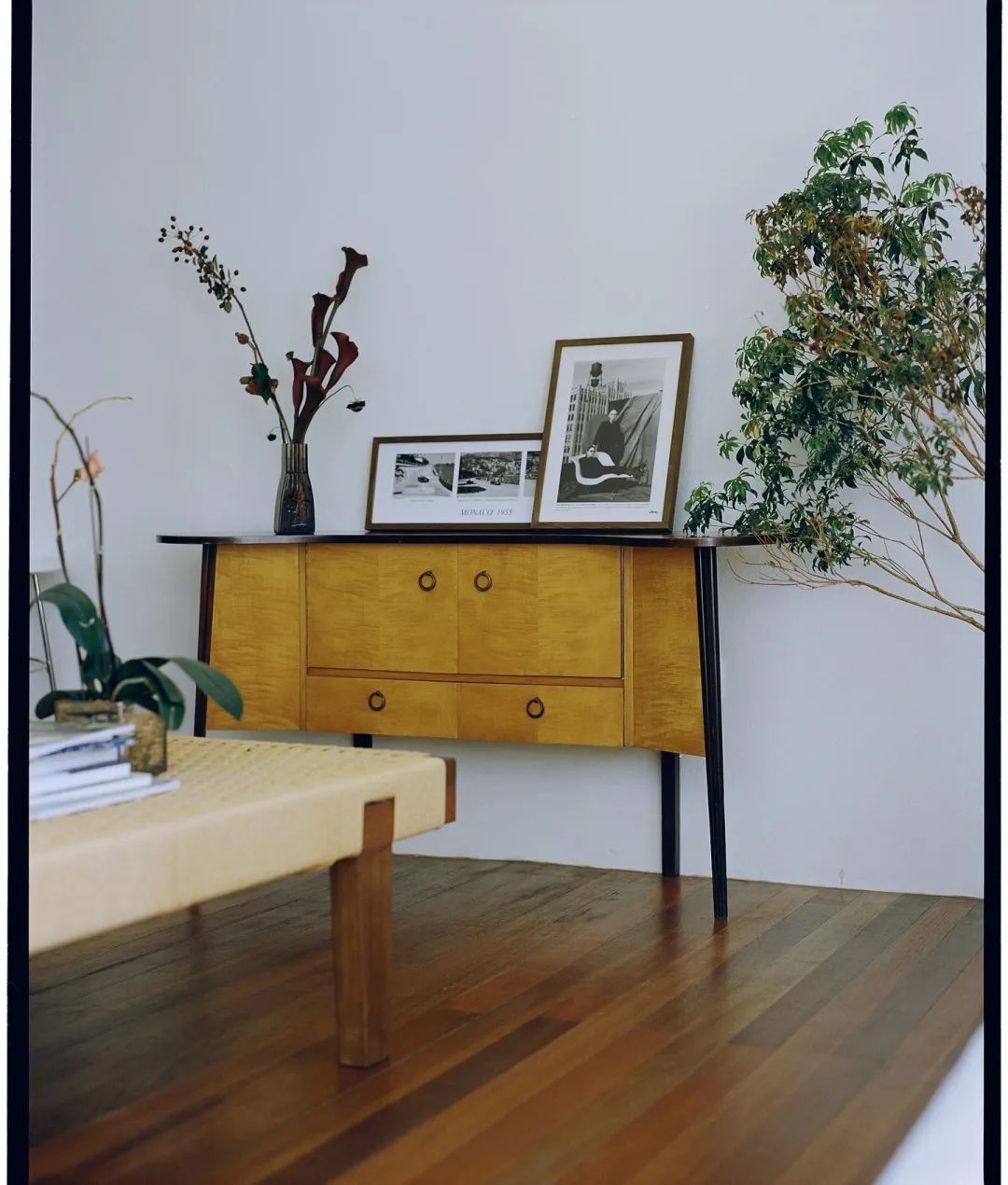 独居上瘾,独居真的很上瘾