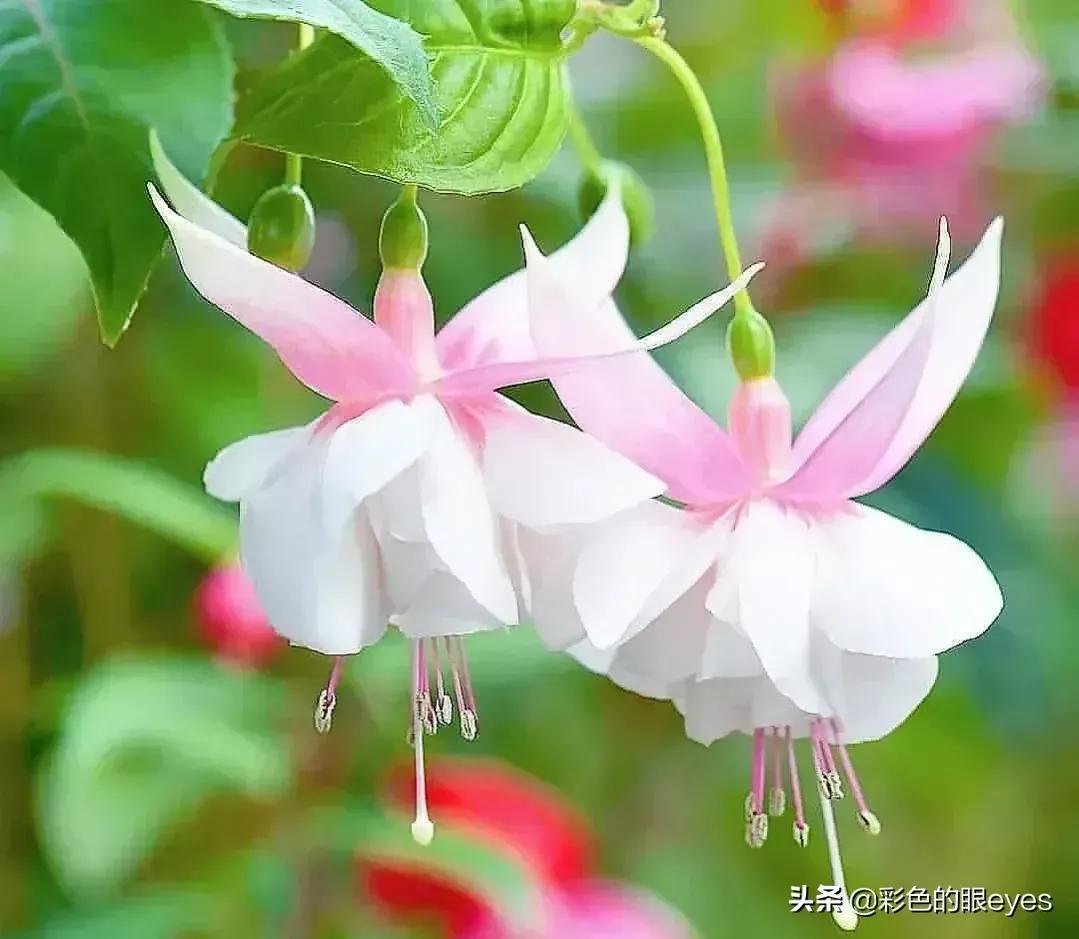 微信里的人都有什么特征,怎么查看微信里的秘密