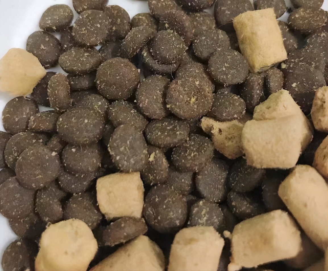 喵达生骨肉猫粮测评,幼猫猫粮评测蓝氏