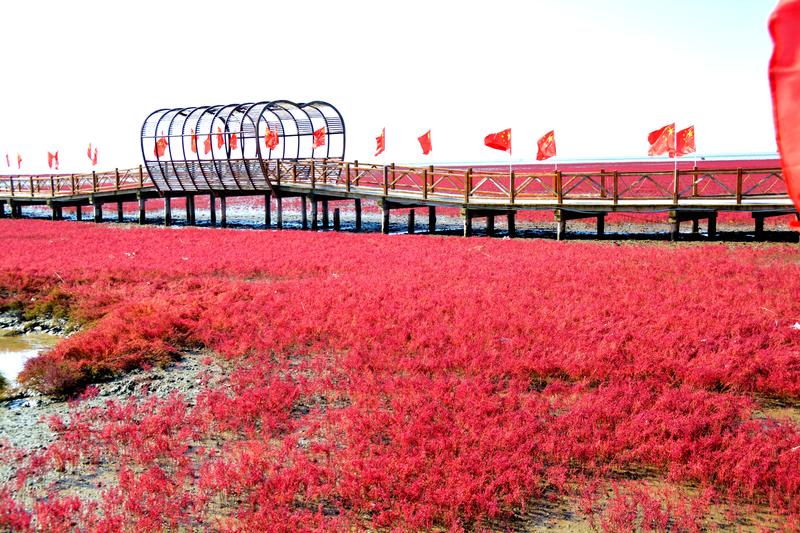 辽宁盘锦在哪个地方,去盘锦旅游哪里好