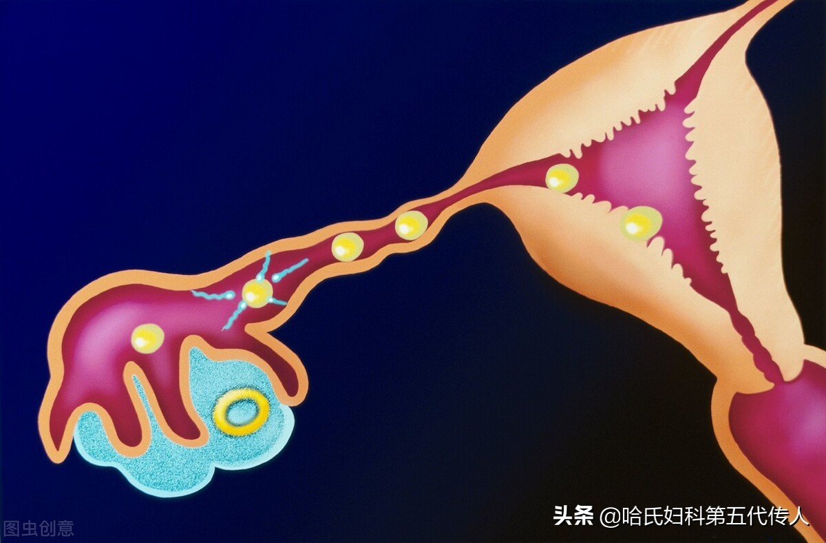 卵泡长得很圆还是没怀上怎么回事,吃什么可以让卵泡长得好又大又圆