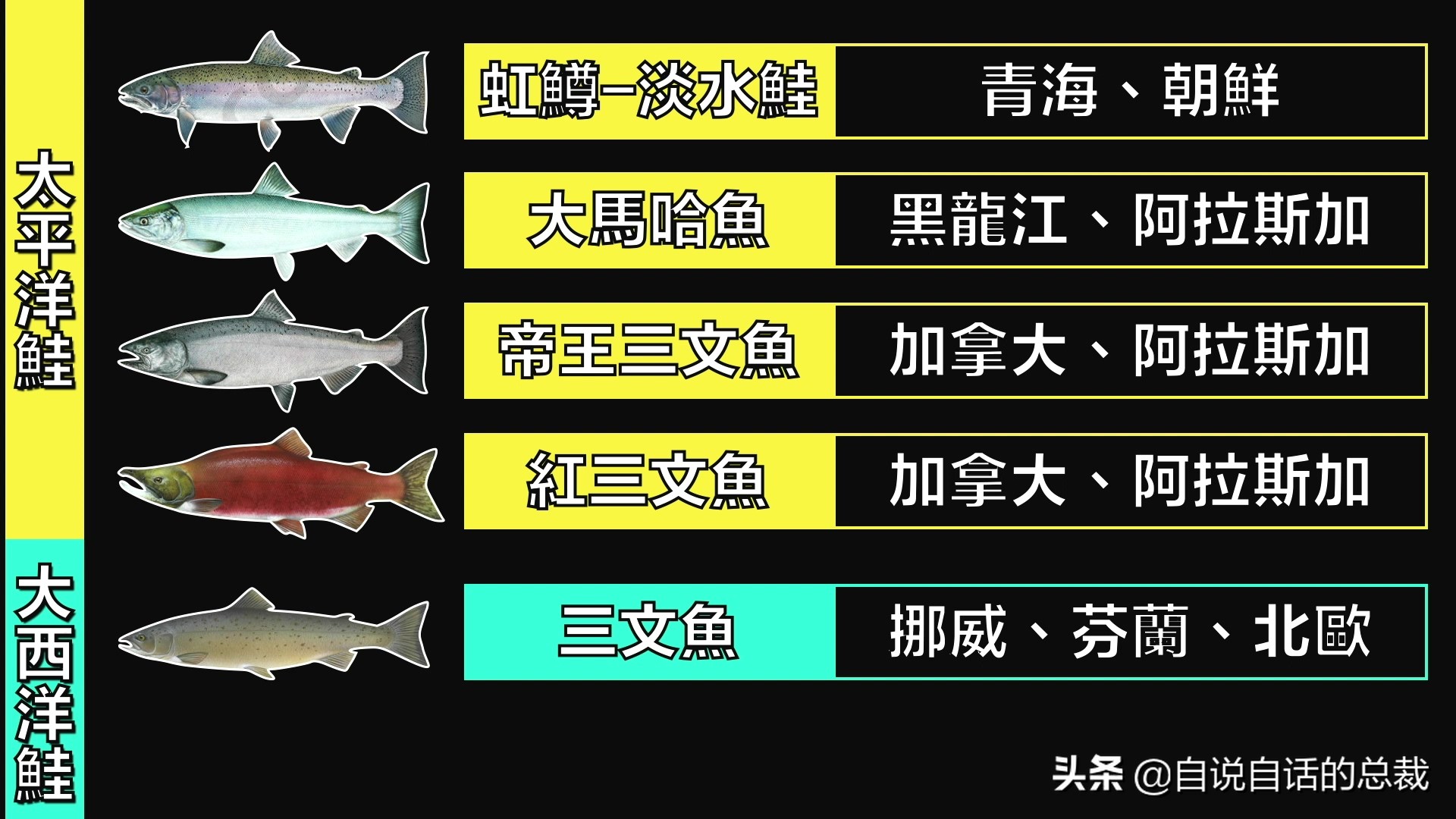 三文鱼水光真假分辨,哪种才是真正的三文鱼