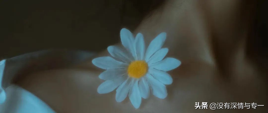 不敢跟喜欢的人表白怎么办呢,相互喜欢对方都不敢表白