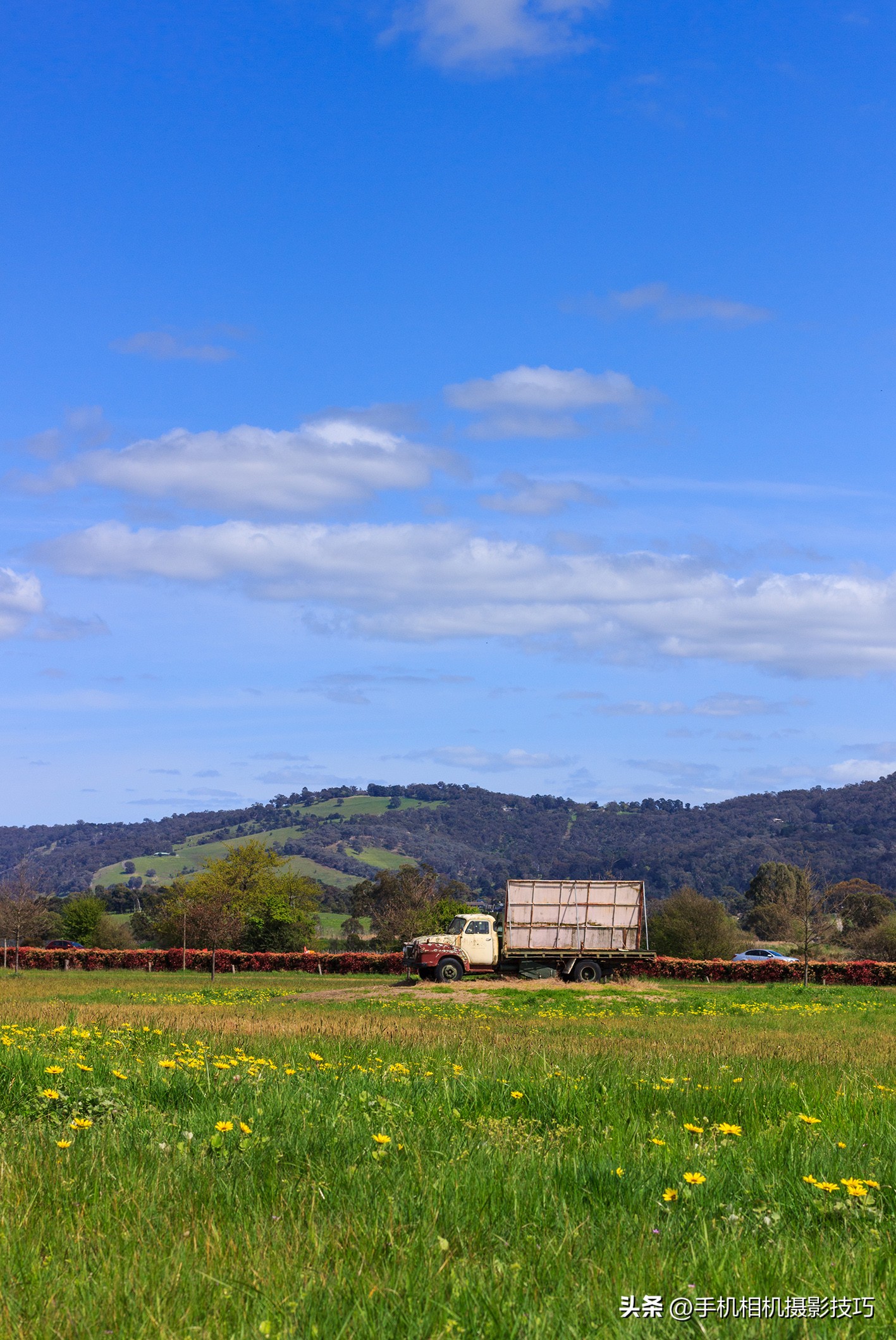 最有违和感的照片,盘点那些毫无违和感的图片