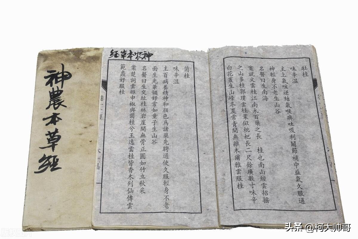 哪一种茶颜色比较翠绿,绿红白黄青黑6大茶类你知道吗