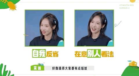 “坞学”新番：一个“乐队”引发的*案惨**