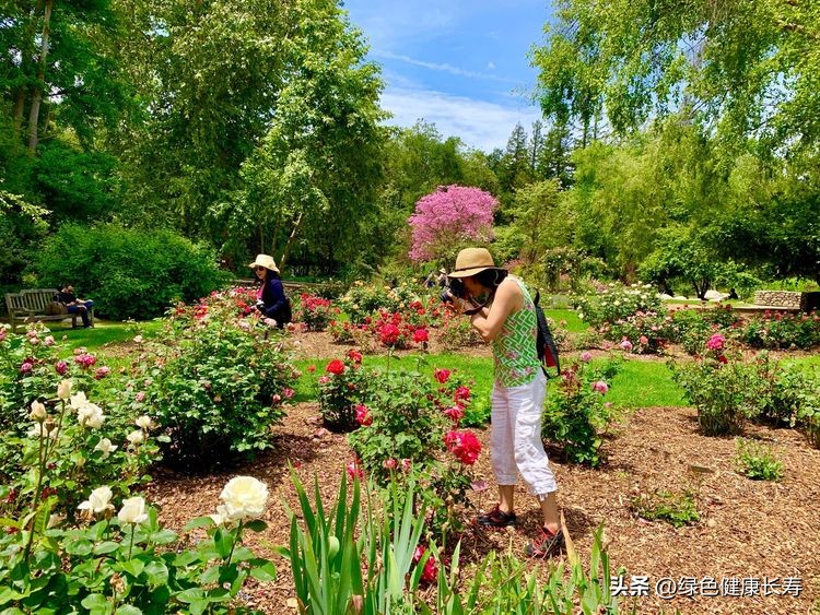 世界花园风景,世界花园