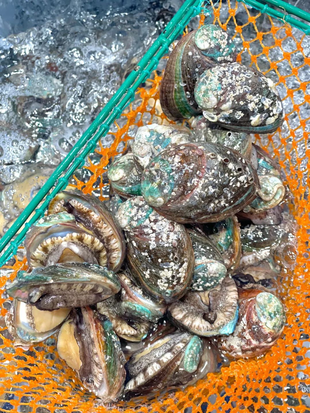 七鲜超市天津滨江购物中心店,七鲜超市天津必买