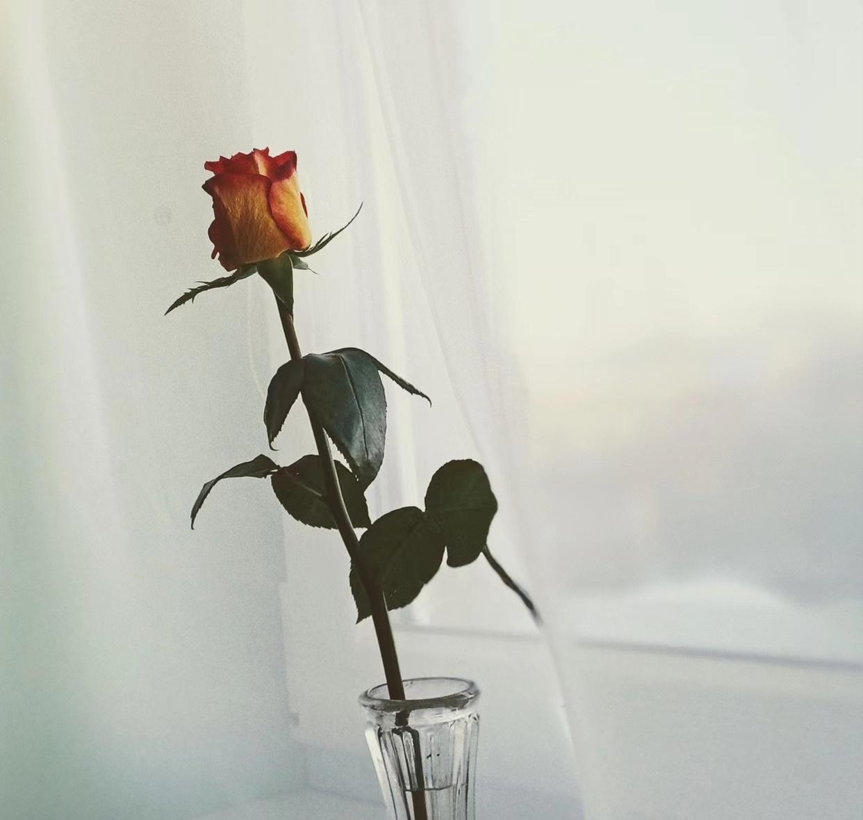 男女相爱时有什么感觉,男女相爱的三个程度