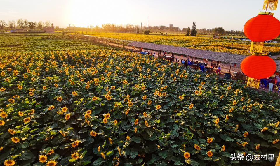 畅游五一丨在田园山水之畔，安放一缕乡愁，银川11家度假山庄攻略