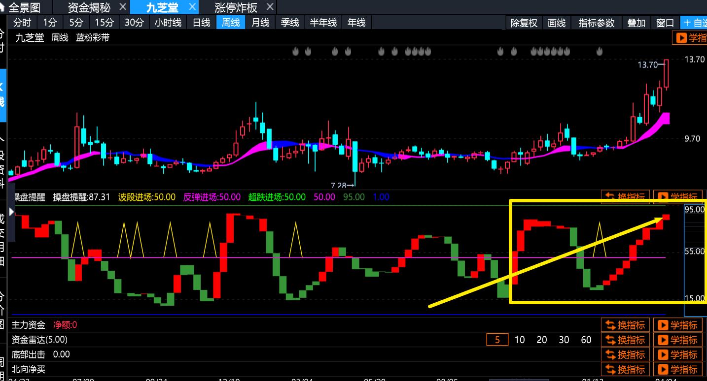 2024九芝堂股价趋势图,九芝堂股票2023最新分析