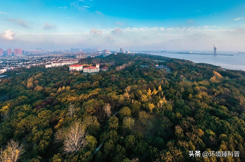 上海春季踏青亲子游好去处,上海周边城市踏青好去处推荐